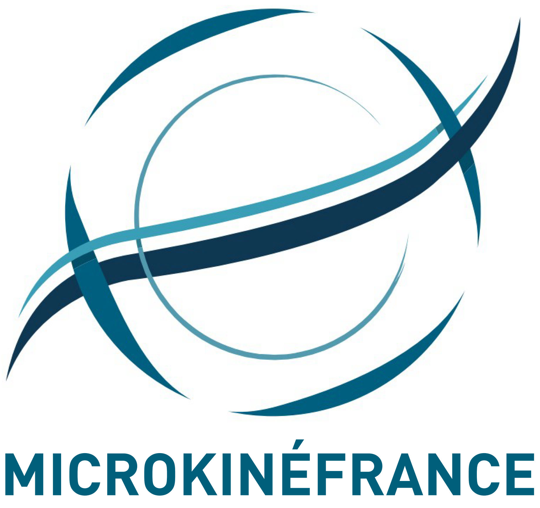 Microkiné France